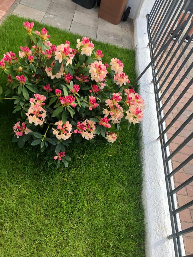 Meierstrasse Lubeck Luaran gambar